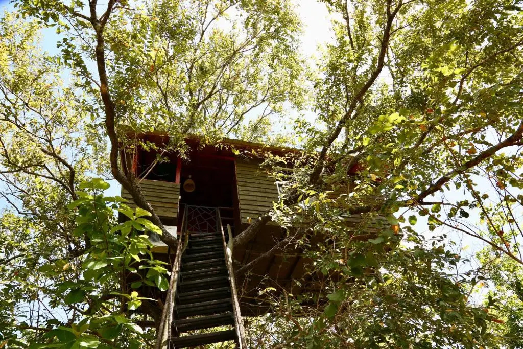 Superior Cottage