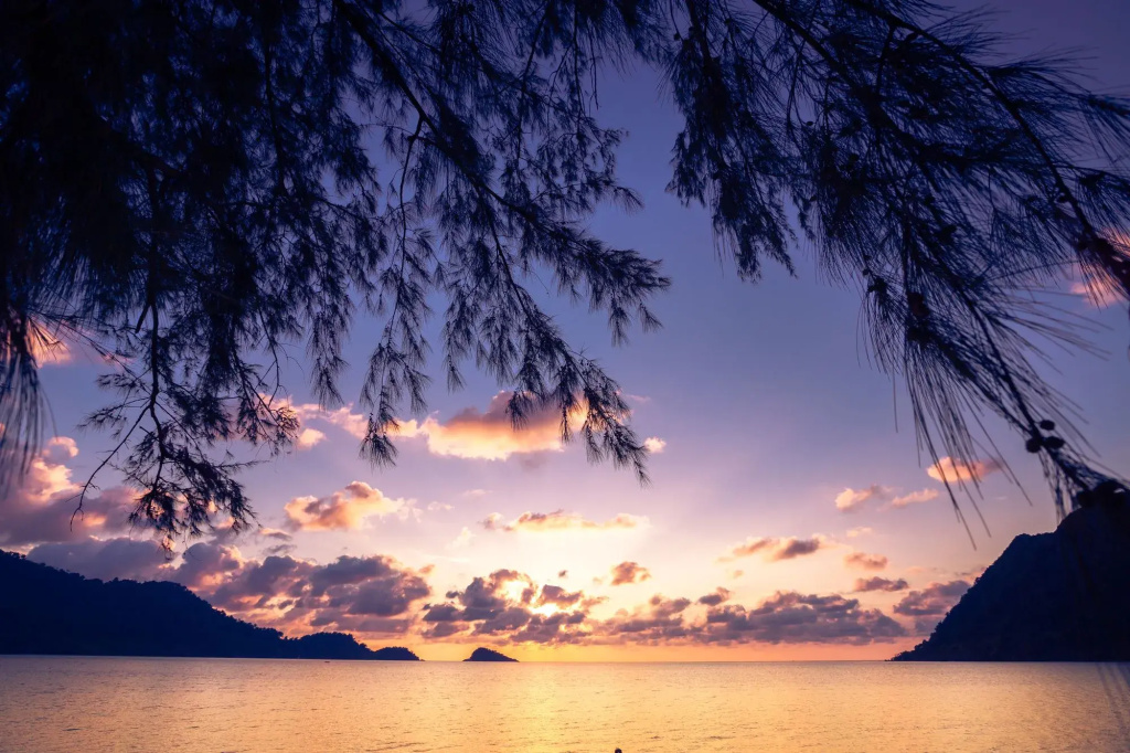 Beach & Waterfront