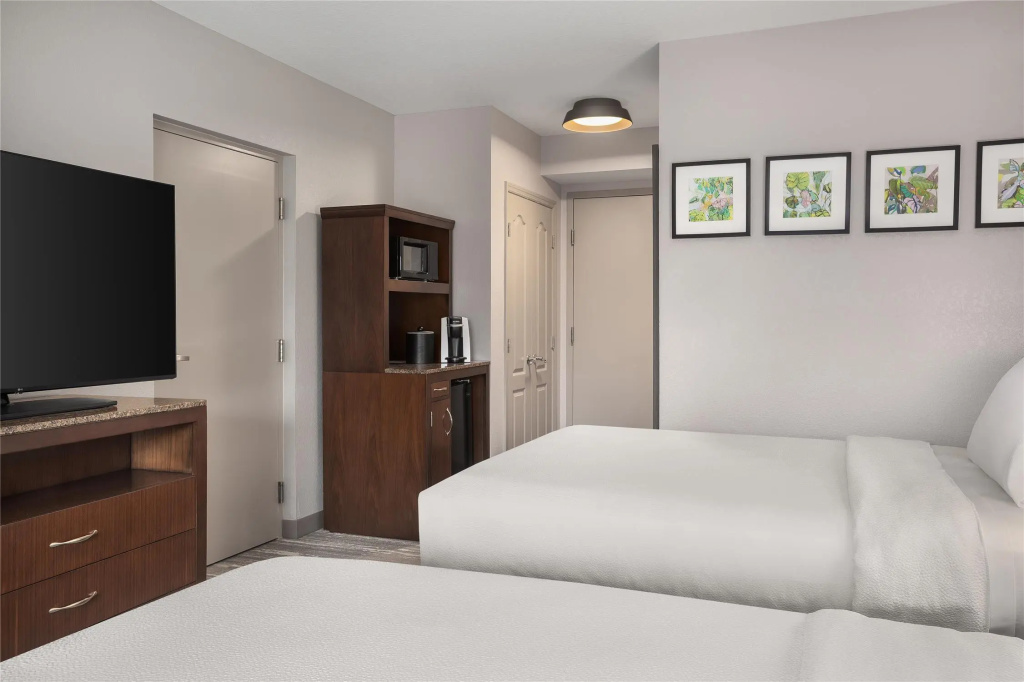 Hilton Garden Inn Tampa North Busch Gardens - Général