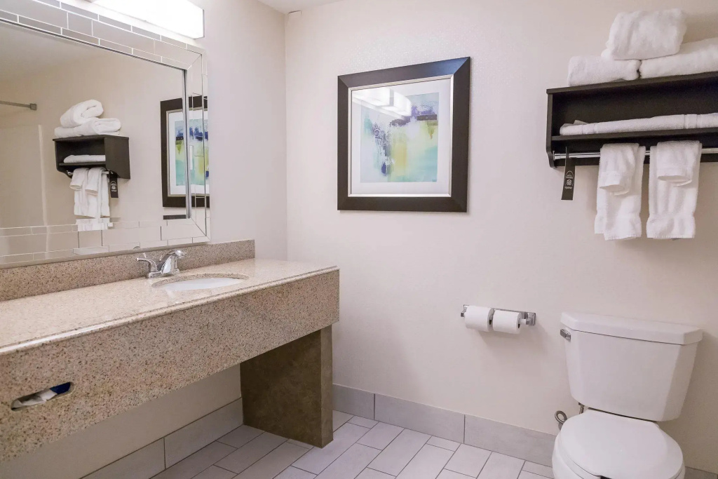 Holiday Inn & Suites Syracuse Airport - Liverpool by IHG - Général