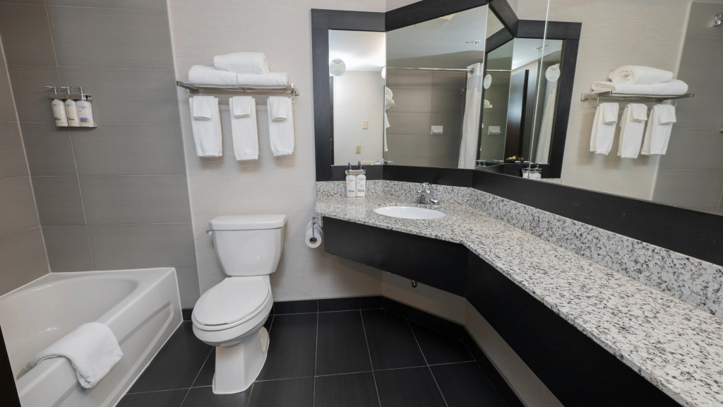 Holiday Inn Montréal Centre-Ville Downtown by IHG - Général