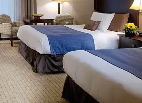Nichols Village Hotel - Chambres