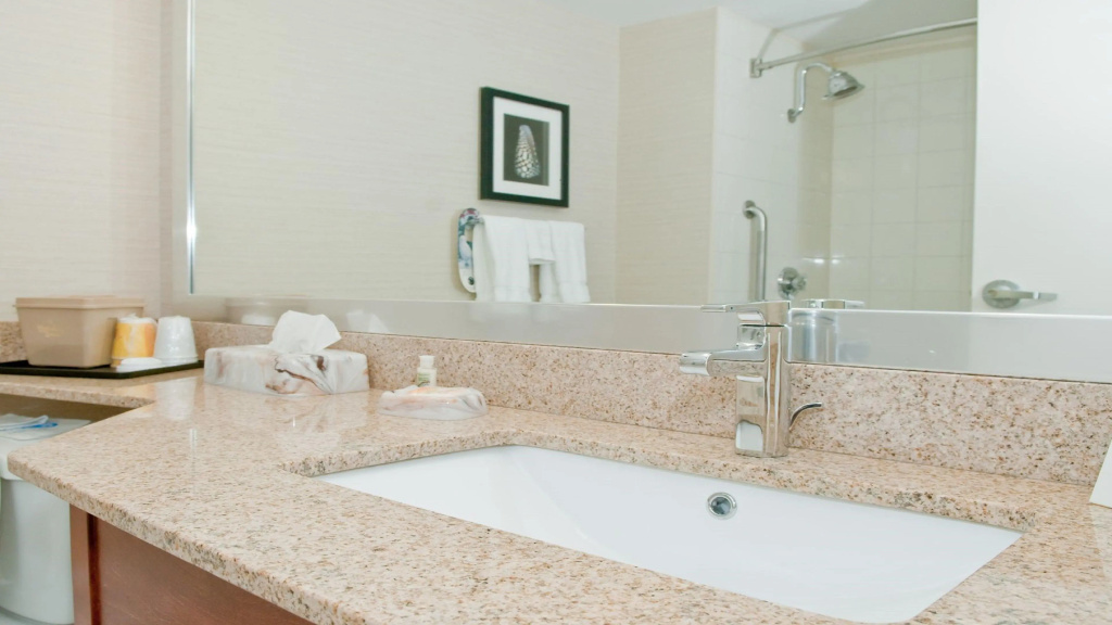 Holiday Inn Oakville Centre by IHG - Général