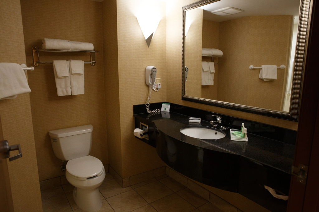 Holiday Inn Battle Creek by IHG - Général