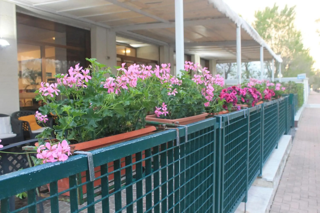 Hotel photo 17