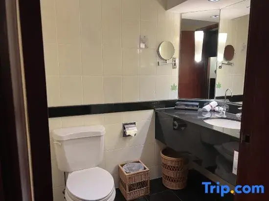 Baolong Hotel Shanghai - Chambres