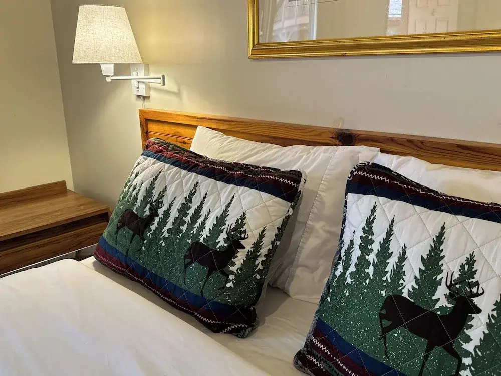Standard Double room with mountain view (full double bed)