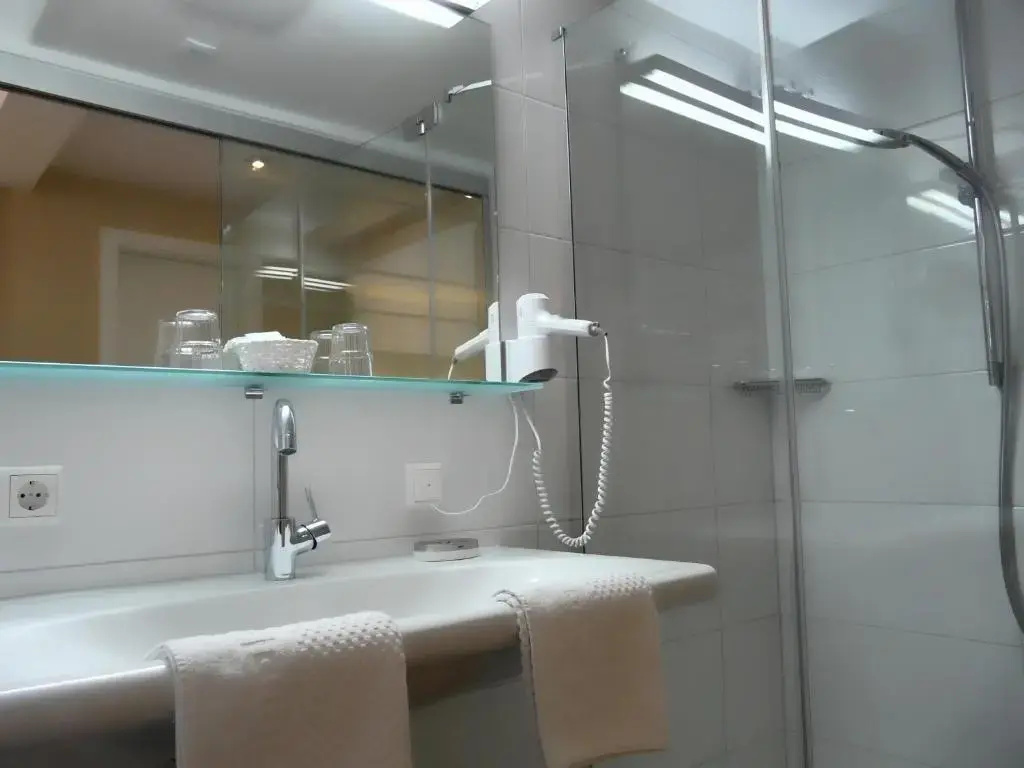 Standard Double room with lake view (full double bed)