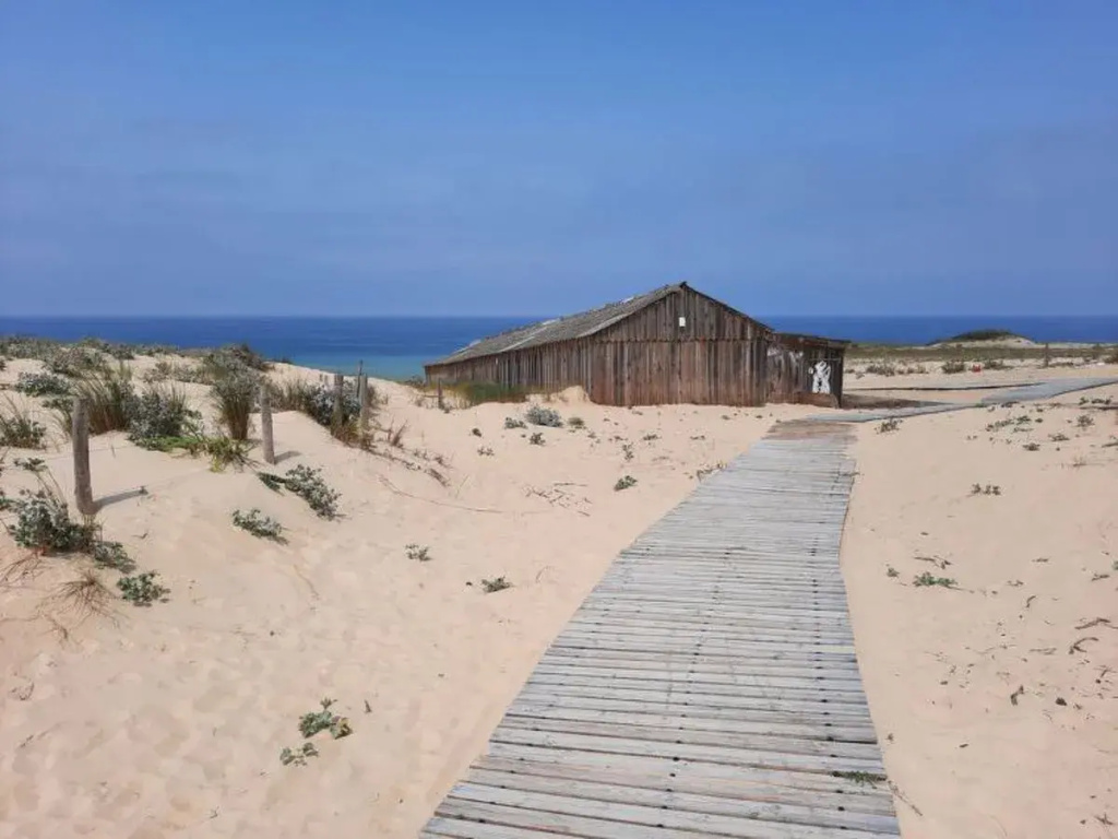 Beach & Waterfront