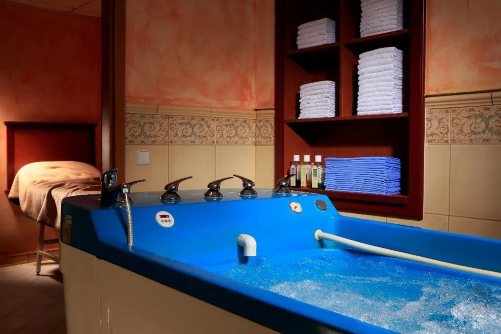 OREA Spa Hotel Bohemia Mariánské Lázně - Général