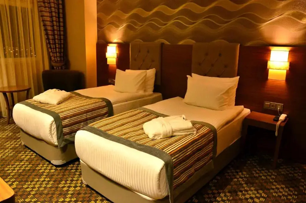 Standard Double room (twin beds)