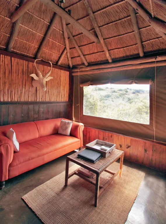 The Safari Lodge - фото 46
