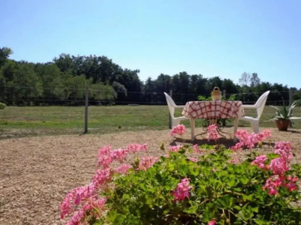 Gîte Saint-Julien-en-Born, 1 pièce, 2 personnes - FR-1-360-465