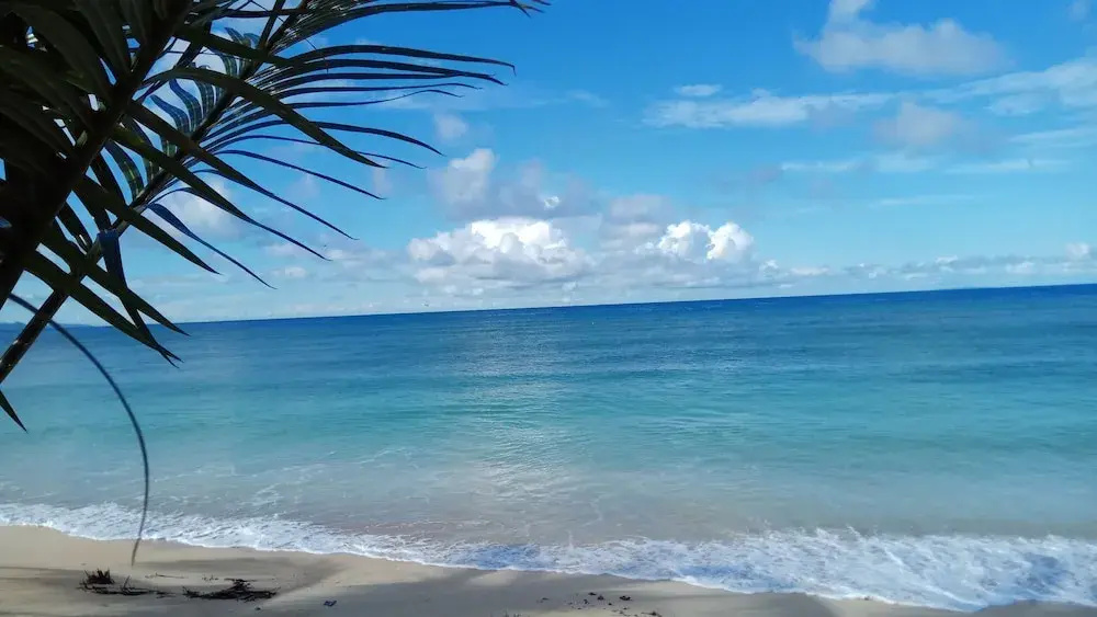 Beach & Waterfront