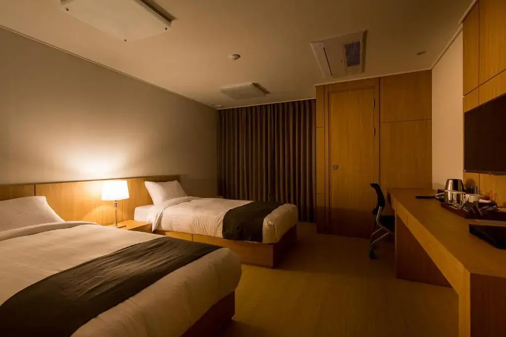 Deluxe Double room (twin beds)