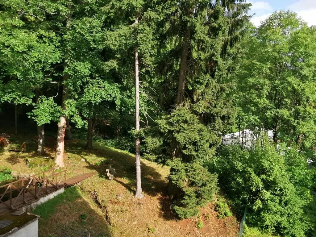 Parkhotel Forest - Chambres