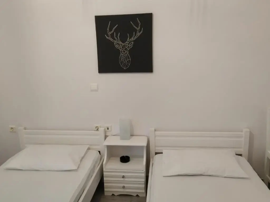 Economy Double room (twin beds)