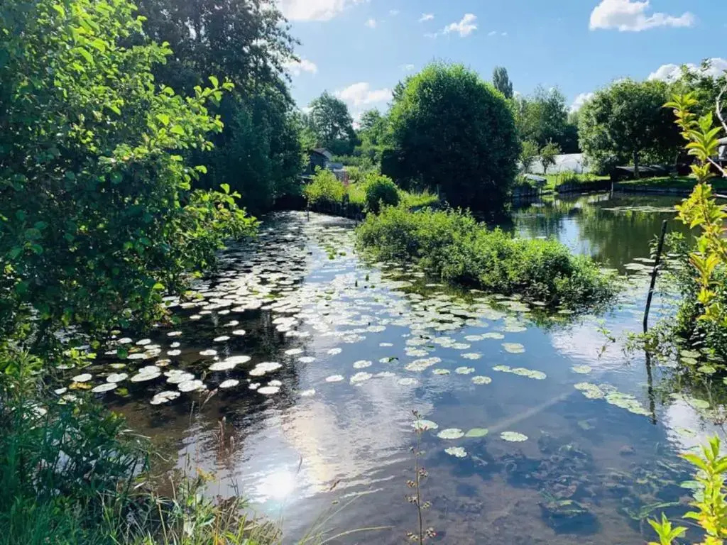 Voir la photo 4 — Le Cottage des Hortillonnages