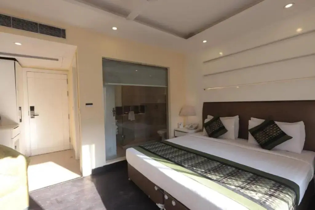 Hotel Picasso Naraina - Général