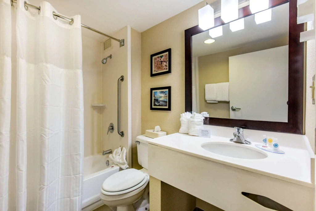 Comfort Inn College Park North - Général
