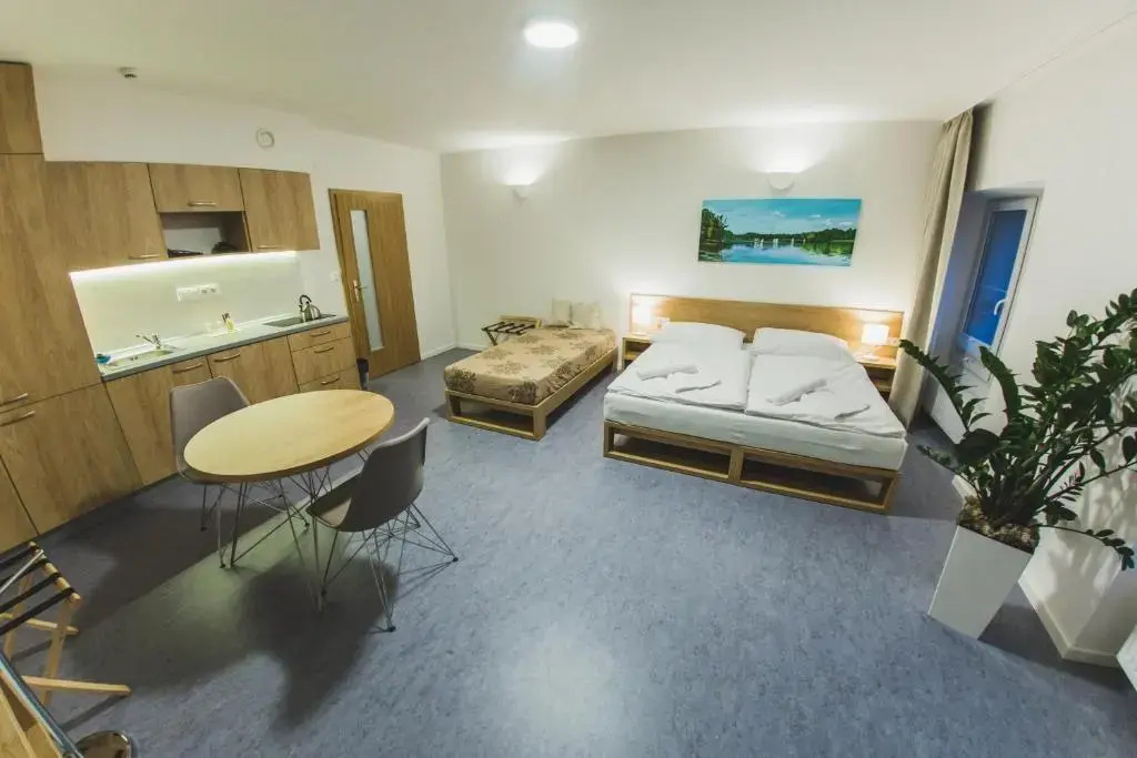 Deluxe Apartment