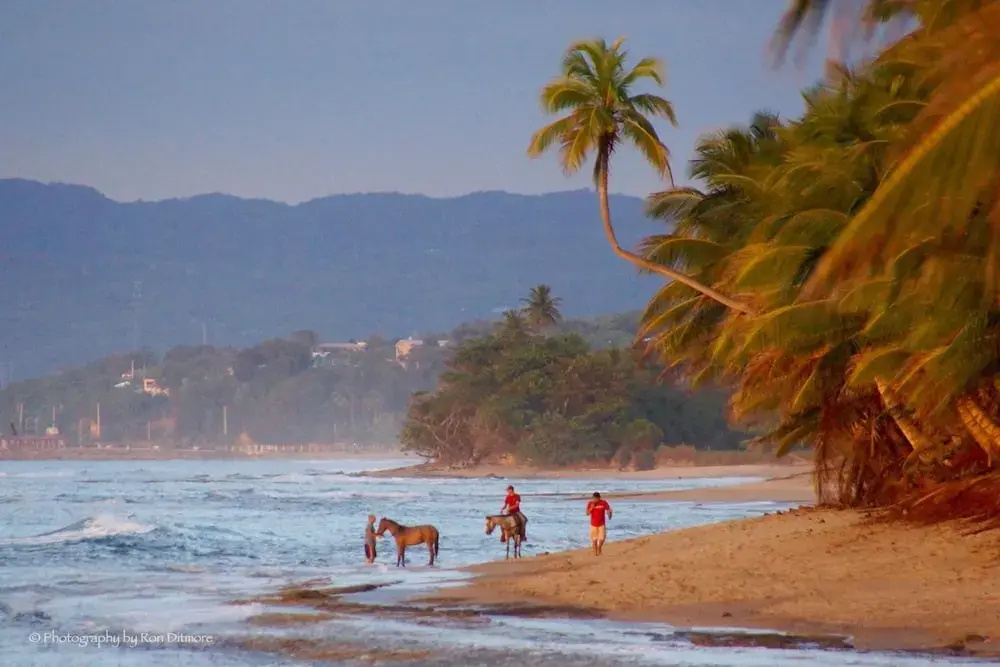 Beach & Waterfront