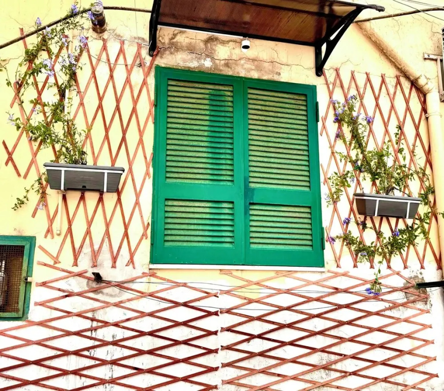 Monacos home and food