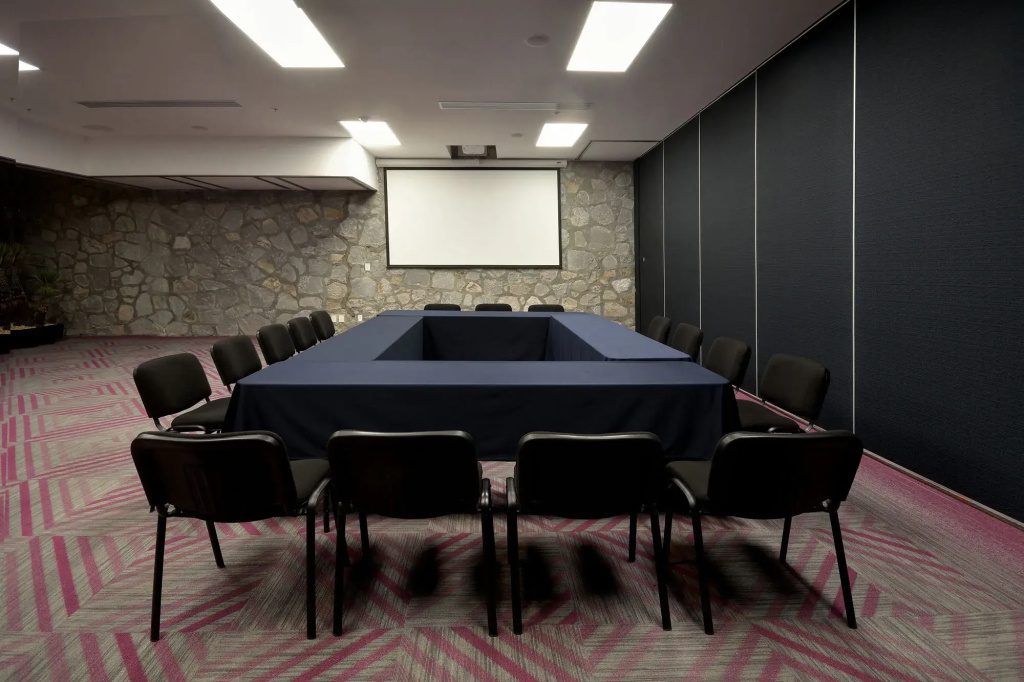 Holiday Inn Express Pachuca by IHG - Général