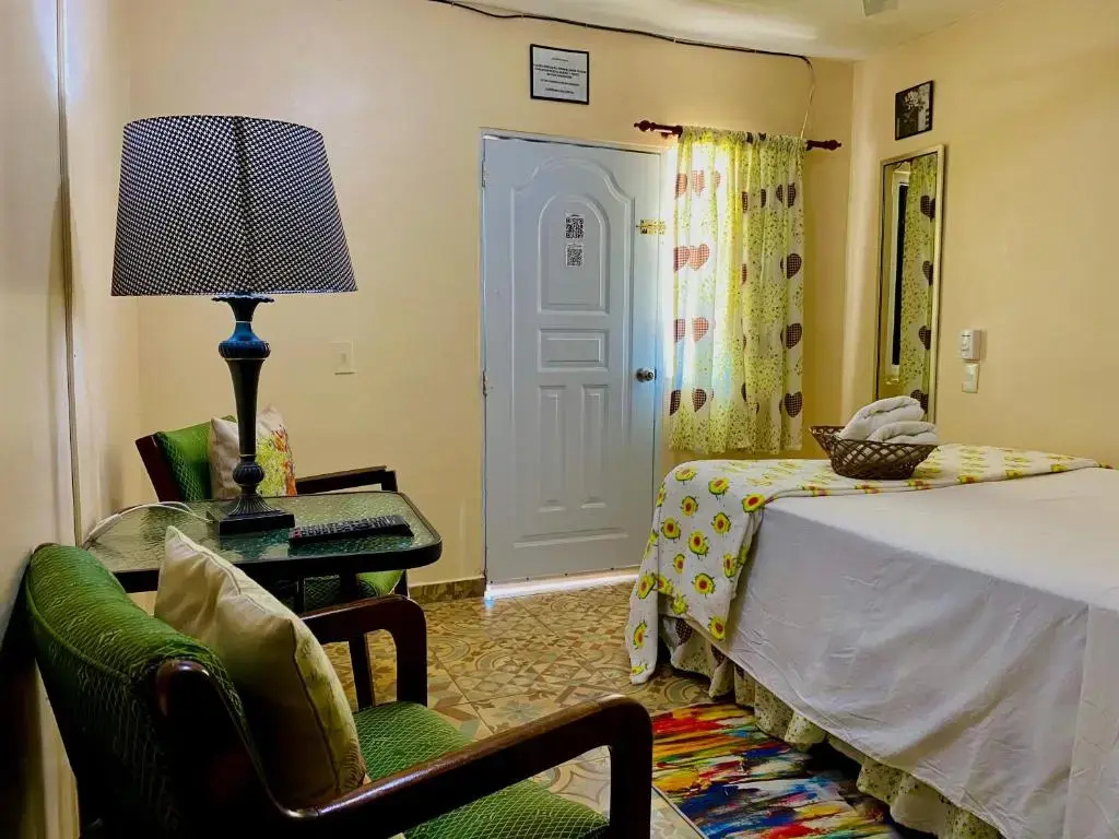 Economy Double room (full double bed)
