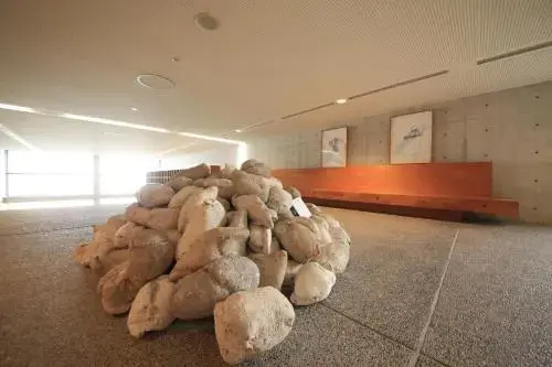 TOTO Seawind Awaji - Général