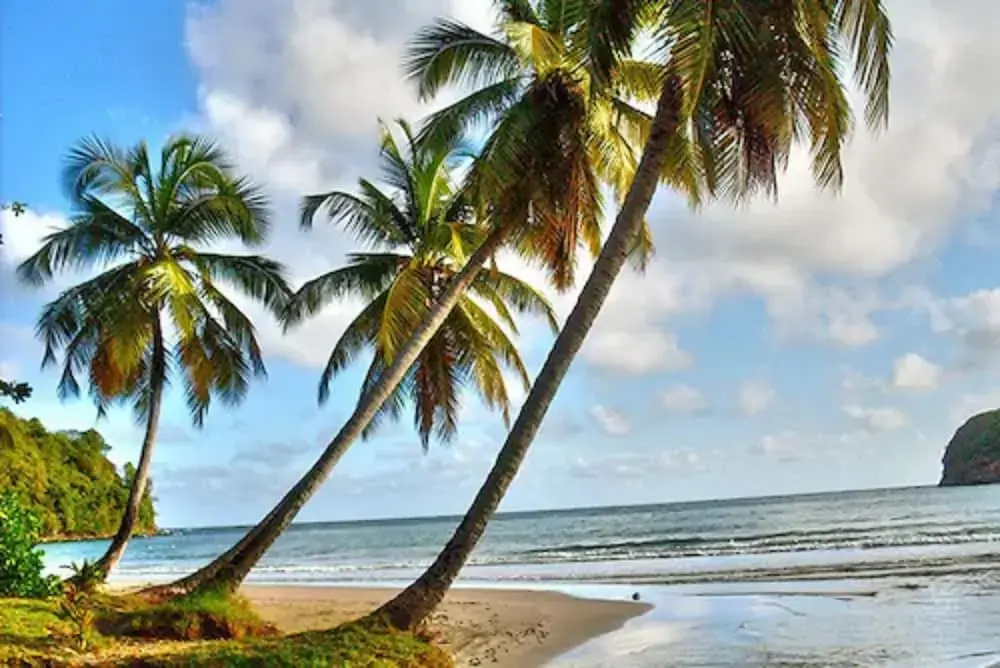 Beach & Waterfront