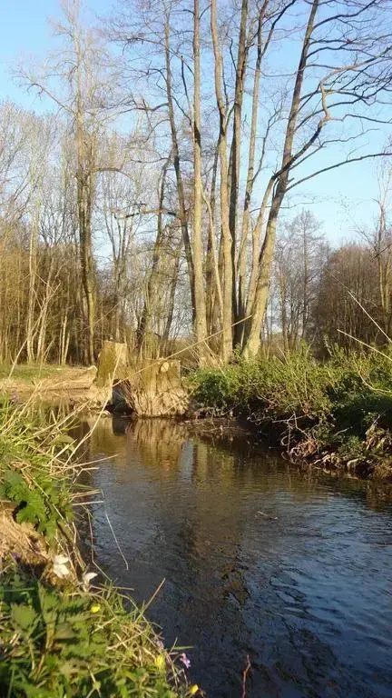 Voir la photo 2 — La Belle Moriniere