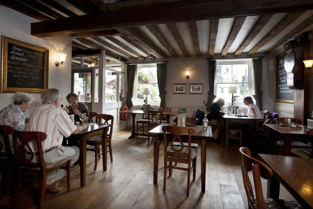 Dog & Bear Hotel - Général
