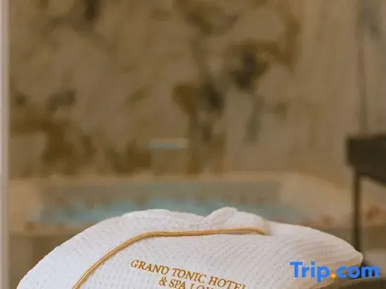 Grand Tonic Hôtel & SPA Paris 103