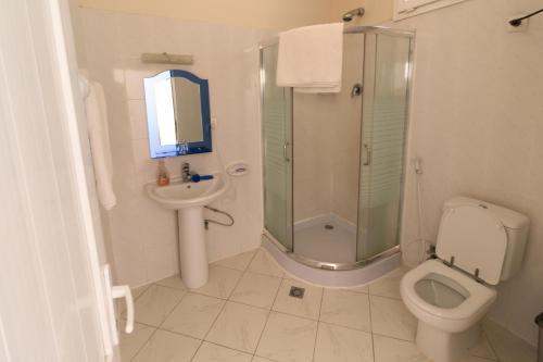 Image 11