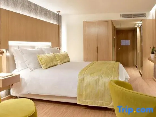Standard Double room with park view (full double bed)