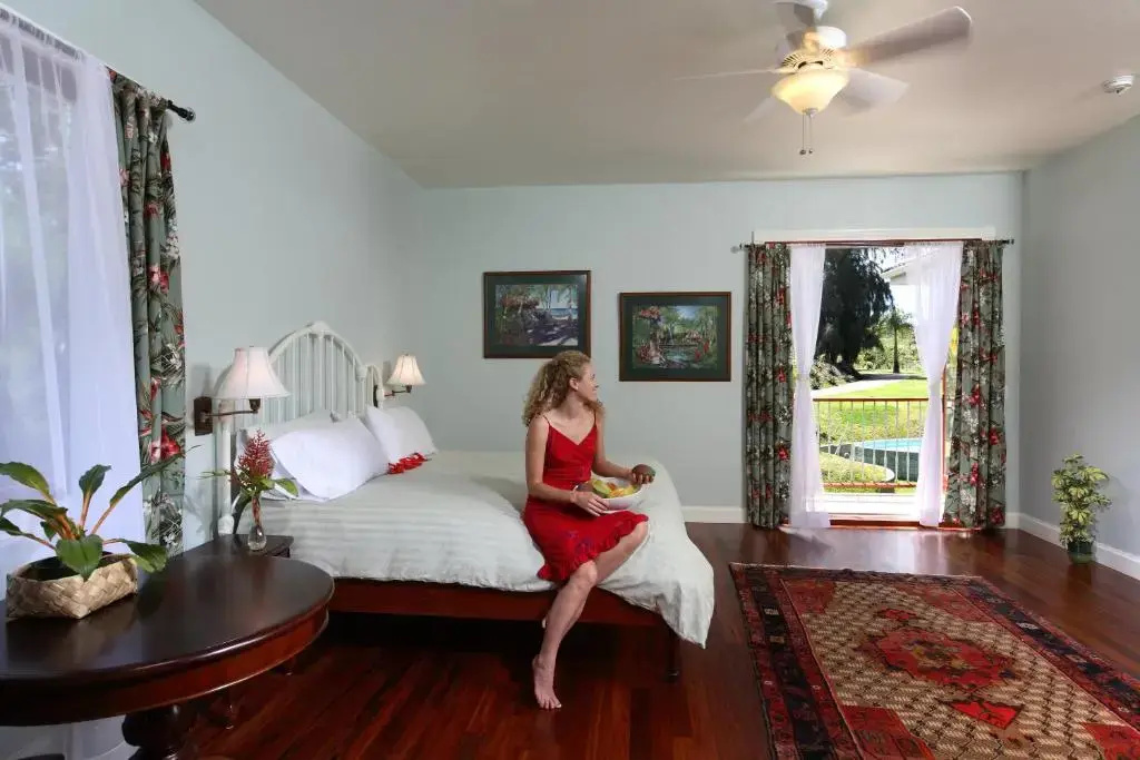 Hawaii Island Retreat - Chambres