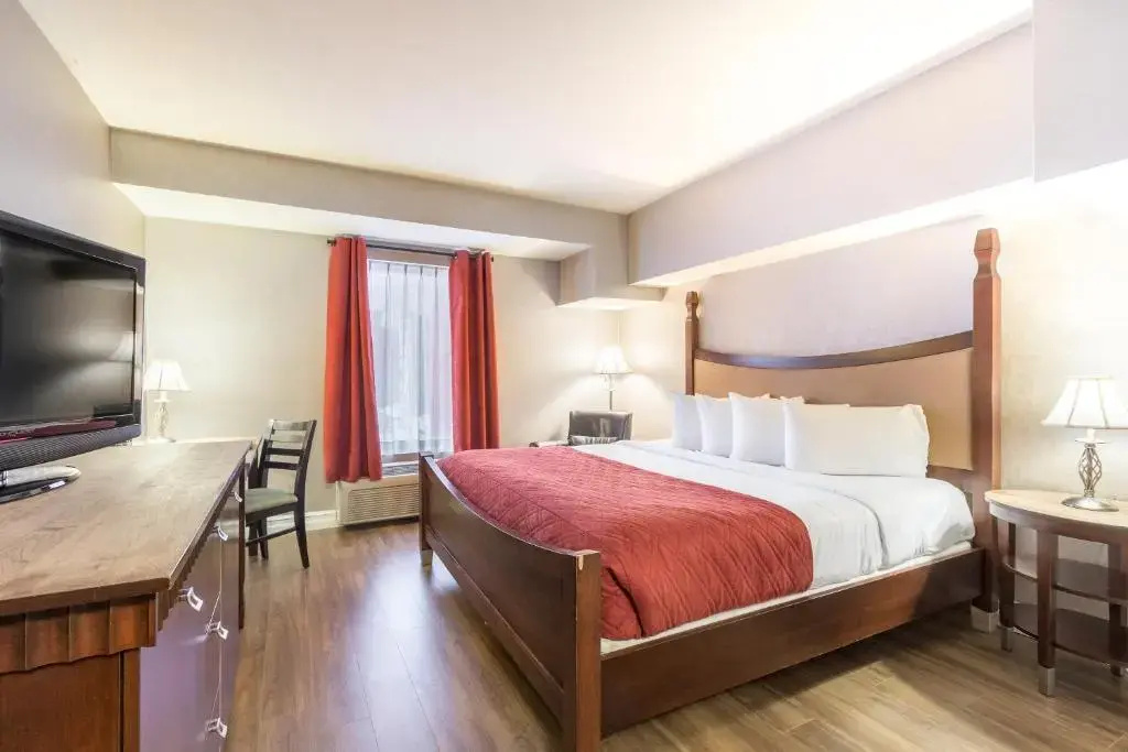 Hotel Universel - Chambres