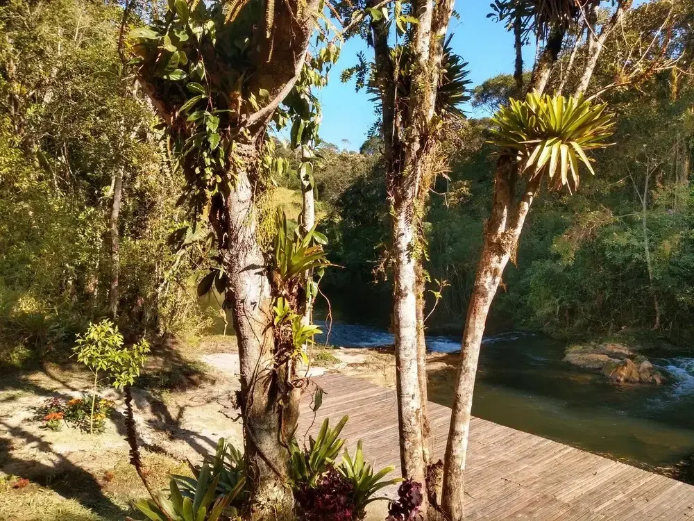 Fazenda Rio Grande - Général