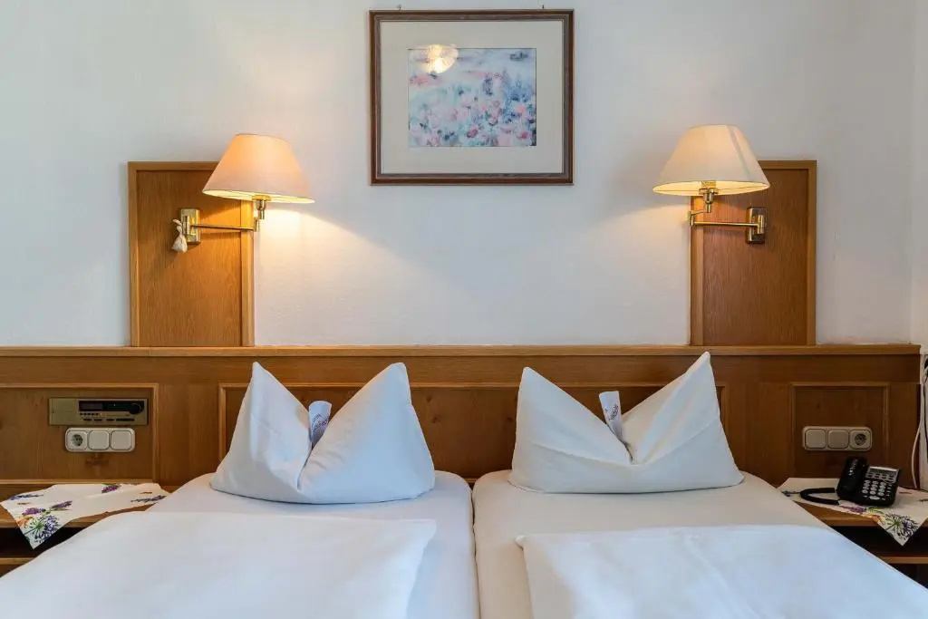 Hotel-Gasthof Zum Dragoner - Général