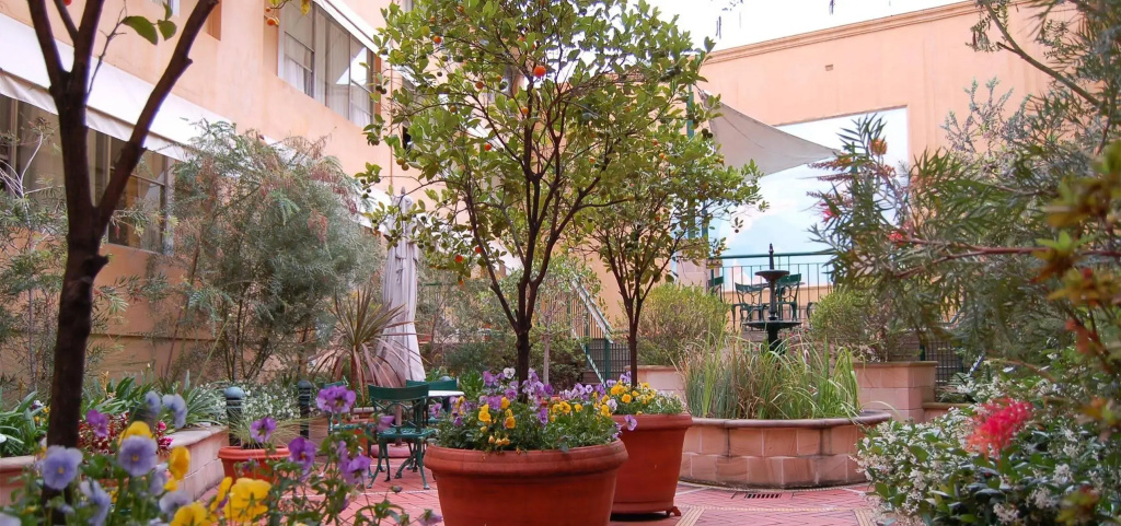 Hotel photo 11