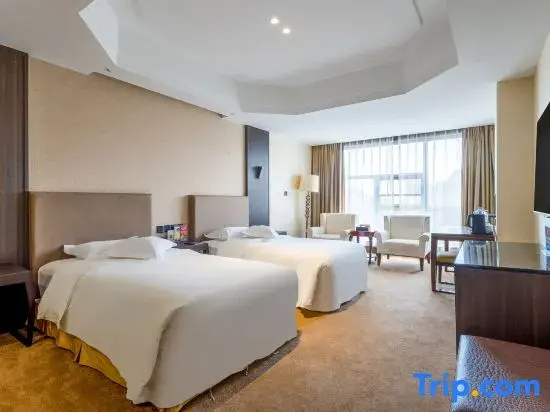 Executive Double room (twin beds)