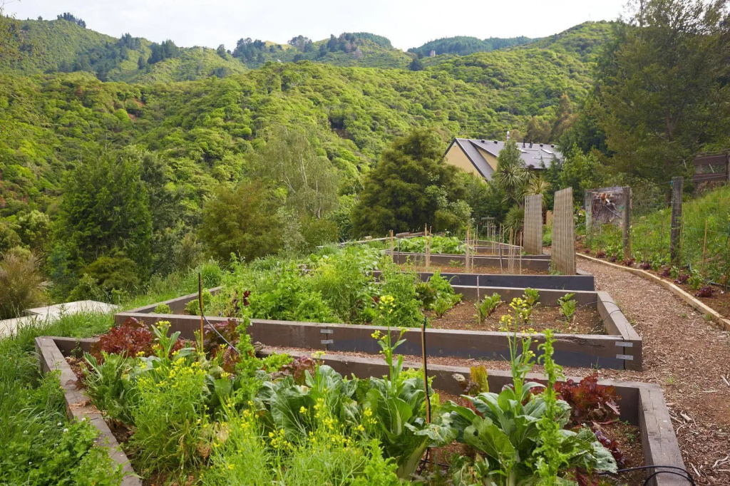 The Resurgence - Luxury Eco Lodge - фото 21
