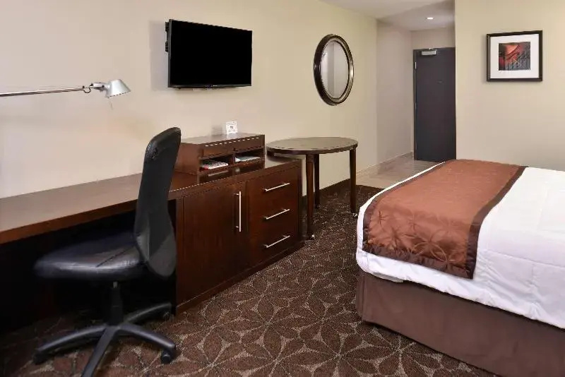 SLAVIERO Londrina - Chambres