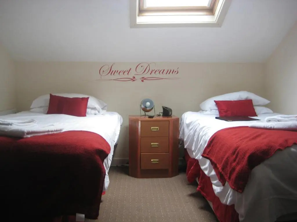 Standard Double Attic room (twin beds)