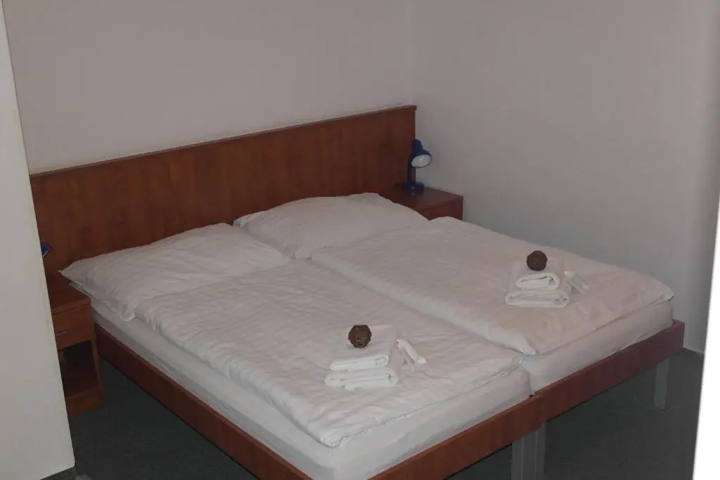 Wellness HOTEL HARRACHOVKA - Chambres