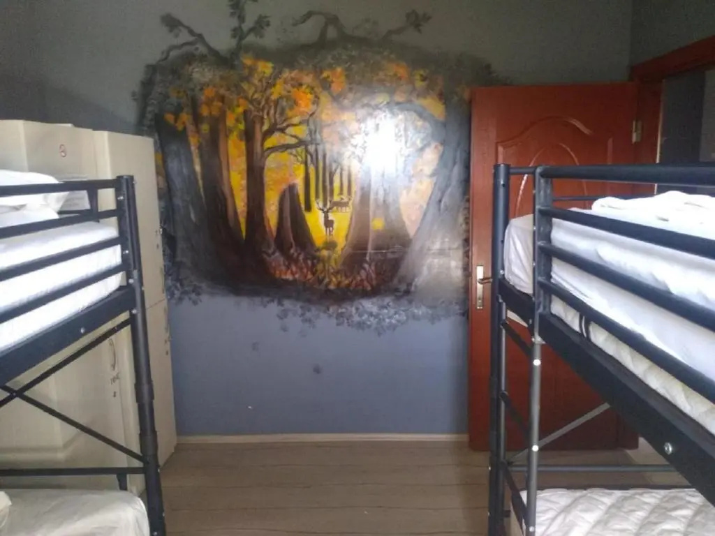 Bed in Dorm (female dorm)