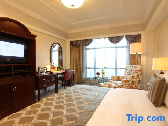 Standard Double room with city view (full double bed)