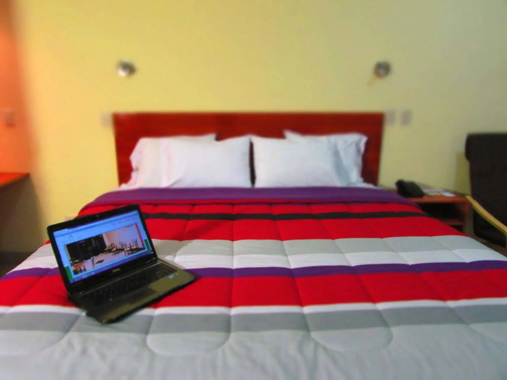 Palau Amazonas Hotel - Général