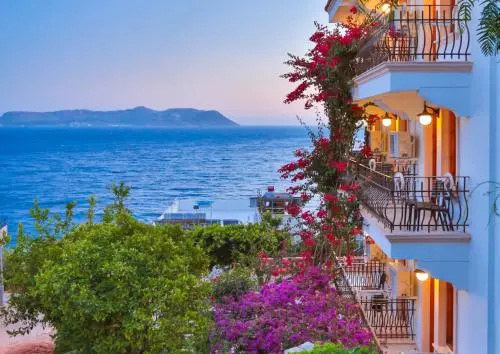 Beach & Waterfront